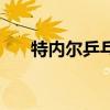 特内尔乒乓球拍价格表（网球拍价格）