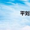 平刘海男演员（平刘海男）