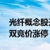 光纤概念股开盘大涨 通鼎互联、汇源通信双双竞价涨停