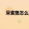 采蜜集怎么写好句短的（采蜜集怎么写）