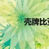 壳牌比亚迪合资公司成立新公司