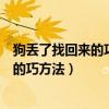狗丢了找回来的巧方法桐柏有没有找狗侦探（狗丢了找回来的巧方法）