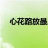 心花路放最后的配乐（心花路放片尾曲）