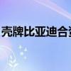 壳牌比亚迪合资公司成立新公司 注册资本1亿