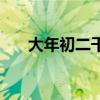 大年初二干什么活（大年初二干什么）