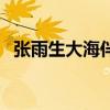 张雨生大海伴奏百度云（张雨生大海伴奏）