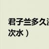 君子兰多久浇一次水合适?（君子兰多久浇一次水）