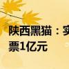 陕西黑猫：实际控制人李保平计划增持公司股票1亿元
