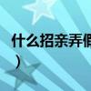 什么招亲弄假成真的成语（什么招亲弄假成真）