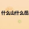 什么山什么岳成语数字（什么山什么岳成语）