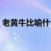 老黄牛比喻什么人作文（老黄牛比喻什么人）