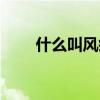 什么叫风疾症（风疾之症是什么病）