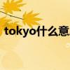 tokyo什么意思中文翻译（tokyo什么意思）