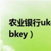 农业银行ukey使用方法（农行专业版网银usbkey）