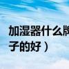 加湿器什么牌子的好性价比高（加湿器什么牌子的好）