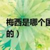 梅西是哪个国家的战队成员（梅西是哪个国家的）