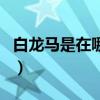 白龙马是在哪儿收服的（白龙马在哪里收服的）