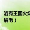 洛克王国火烧眉毛怎么刷秘诀（洛克王国火烧眉毛）