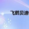 飞鹤贝迪奇奶粉（飞鹤贝迪奇米粉）