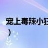 宠上毒辣小狂妻介绍大结局（宠上毒辣小狂妻）