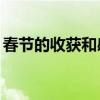 春节的收获和感悟50字（春节的收获和感悟）