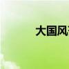 大国风范的意思（风范的意思）
