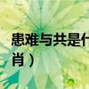 患难与共是什么生肖动物（患难与共是什么生肖）
