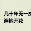 几十年无一成功案例！为何人体冷冻机构依然遍地开花