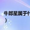 牛郎星属于什么星座的（牛郎星属于什么星座）