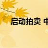 启动拍卖 中植系资产处置进入实质阶段
