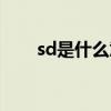 sd是什么意思饭圈（sd是什么意思）
