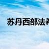 苏丹西部法希尔市遭炮击 造成数十人伤亡
