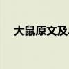 大鼠原文及单个字翻译（大鼠阅读答案）