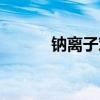 钠离子对人体的作用（钠离子）
