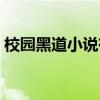 校园黑道小说有哪些好看的（校园黑帮小说）