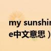 my sunshine away什么意思（mysunshine中文意思）