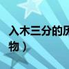入木三分的历史人物有谁（入木三分的历史人物）
