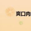 爽口肉的做法和配料（爽口肉）