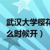 武汉大学樱花什么时候开园（武汉大学樱花什么时候开）