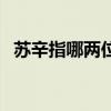 苏辛指哪两位诗人呢（苏辛指哪两位诗人）