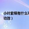 小叶紫檀有什么功效带在身体有什么好处（小叶紫檀有什么功效）