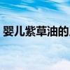 婴儿紫草油的用法（婴儿紫草油的正确做法）