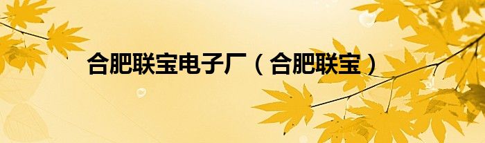 合肥联宝电子厂累不累（合肥联宝电子厂公司简介）