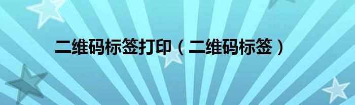 二维码标签打印（二维码标签怎么生成的）