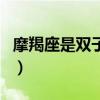 摩羯座是双子座桃花劫（摩羯是双子的桃花劫）
