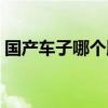 国产车子哪个牌子好（国产车哪个牌子最好）