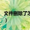 文件删除了怎么找回来（顶尖数据恢复注册码）