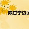 陕甘宁边区宝塔山邮票（宝塔山邮票）