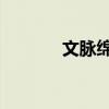 文脉绵长 灼灼其华（文麦森）