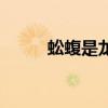 蚣蝮是龙和什么动物生的（蚣蝮）